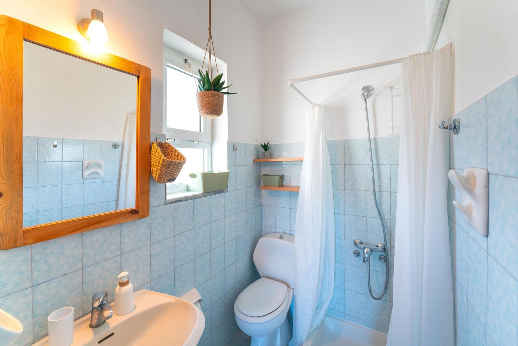 Tselios Apartments & Studios キオタリ 部屋 写真